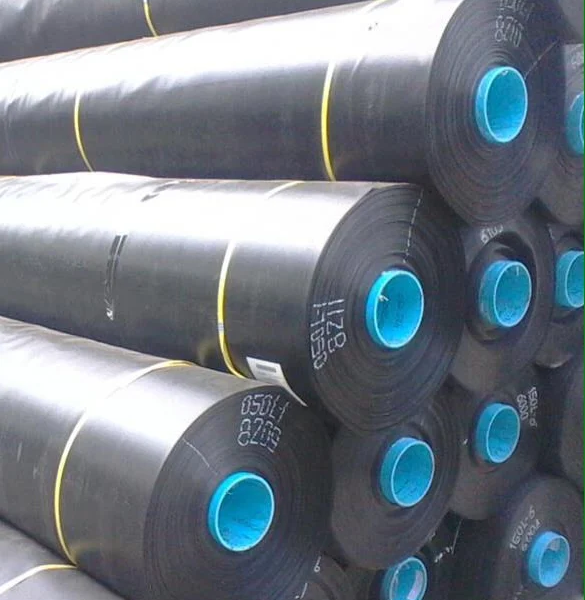 Bạt HDPE lót hồ tôm