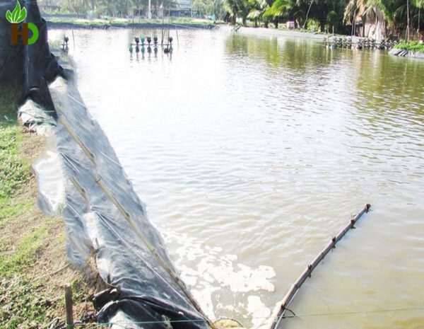 Bạt chống thấm HDPE lót ao, hồ nuôi cá - Ảnh 2