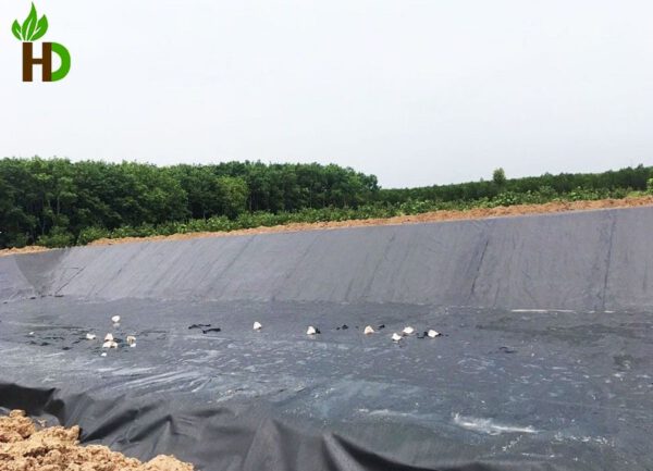 Bạt chống thấm HDPE lót ao, hồ nuôi cá - Ảnh 3