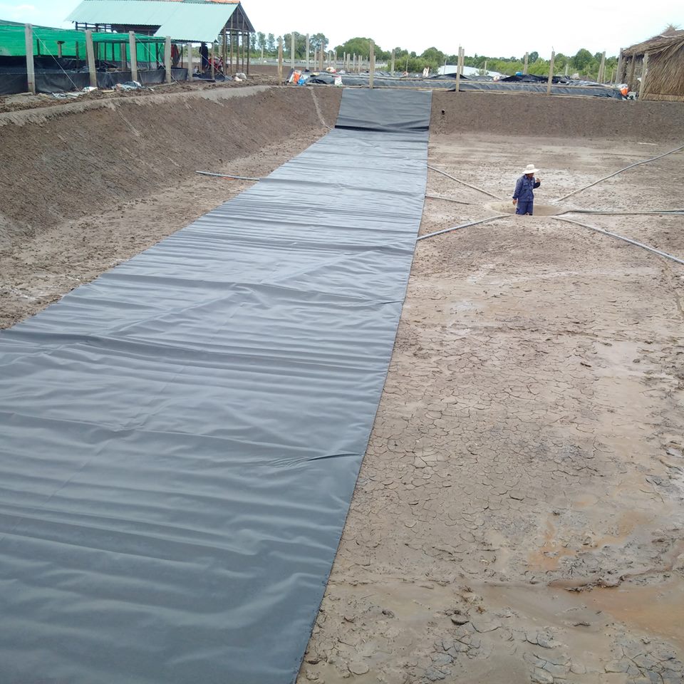 Bạt HDPE lót hồ tôm - Ảnh 3