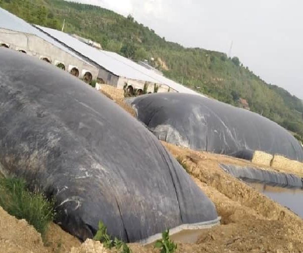 bạt nhựa hdpe