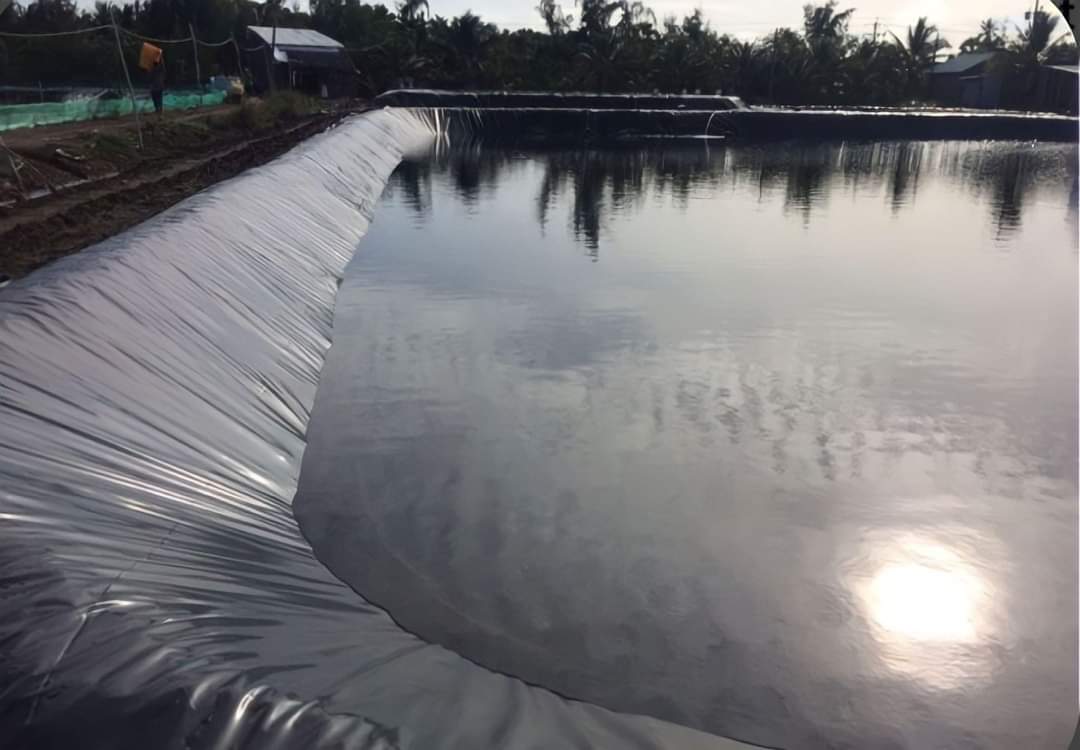 Bạt chống thấm HDPE