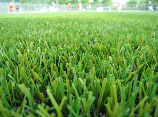 Cỏ nhân tạo sân bóng - Ảnh 2