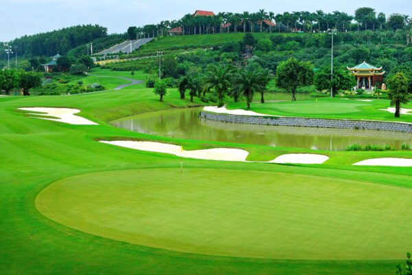 Cỏ nhân tạo sân Golf - Ảnh 3