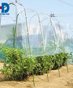 Lưới chống côn trùng trồng rau sạch