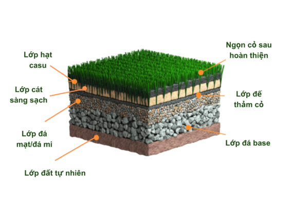 Cỏ nhân tạo sân bóng - Ảnh 3