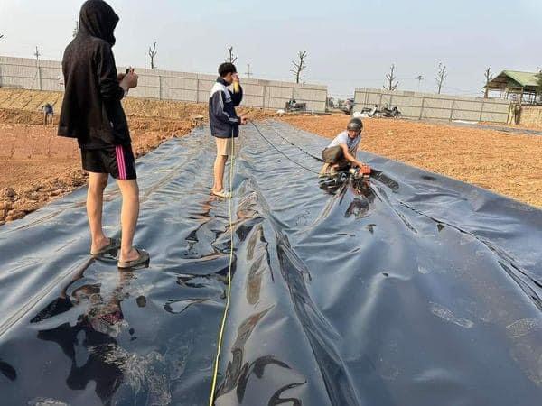 Bạt HDPE