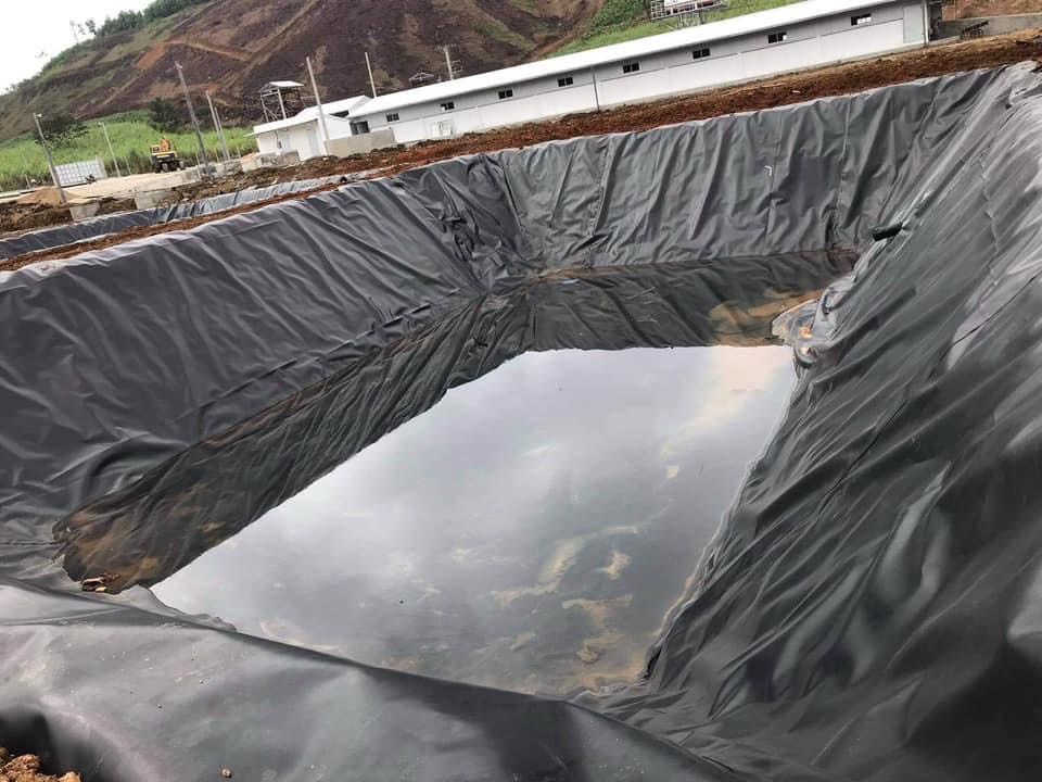 bạt HDPE