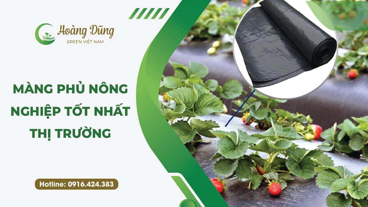 Màng phủ nông nghiệp tốt nhất thị trường