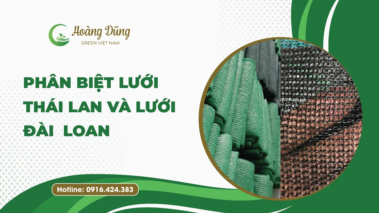 Phân biệt lưới Thái Lan và lưới Đài Loan - Hoàng Dũng Green